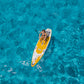 Uppblåsbar SUP Coasto Argo 11’ – Touring