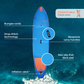 WattSUP Espadon 11'8" Uppblåsbar SUP – 355 cm