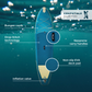 Wattsup Marlin 12'5" Uppblåsbar SUP – Touring & Fitness