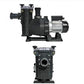 Pump renovering 0,75 HP