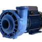 Pump Gecko FLO-MASTER XP2 BL CE, 2HP, 230 V, 50HZ, 1SP