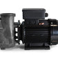 Pump Gecko FLO-MASTER XP3 CE, 3HP, 2-speed