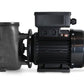 Pump Gecko FLO-MASTER XP2E CE, 1,5HP, 2-speed