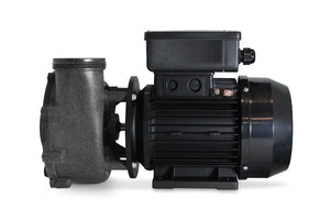 Pump Gecko FLO-MASTER XP2E CE, 1,5HP, 2-speed